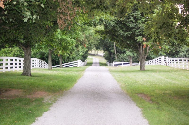 Brick And Stone Driveway Installation For High-Traffic Commercial Areas